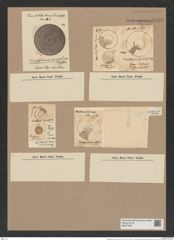 Craspedodiscus coscinodisucs Ehr. (de-Toni-Nr.: Genus 201, Species 4832) Zeichnungen Sammlung Grunow Nr. 8495 (NHMW-BOT-W0377967)